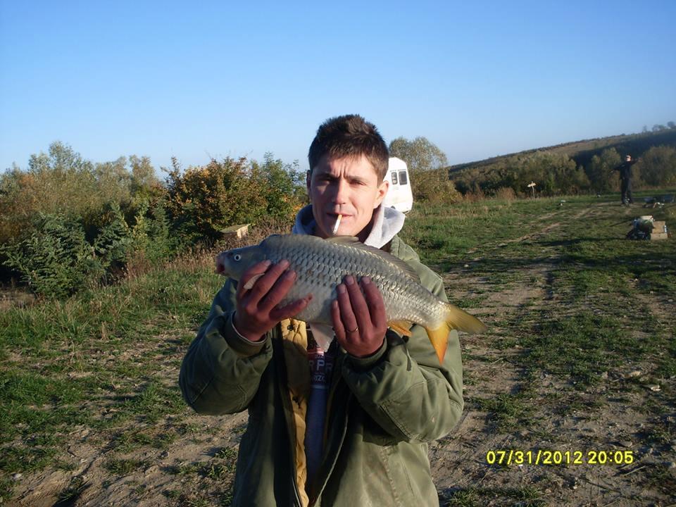 icn carp - 148066614013785601025501559933181n.jpg